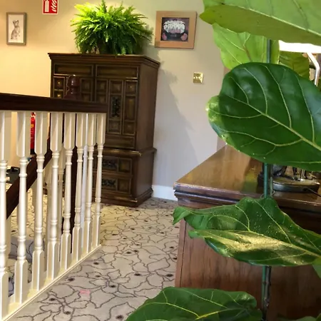 Amber Berry Bed and breakfast Galway